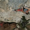 8a FL Ceselli