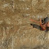 Die Hard 8c RP