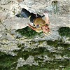Trop bon la chique 7c+ (8a) OS Orpierre